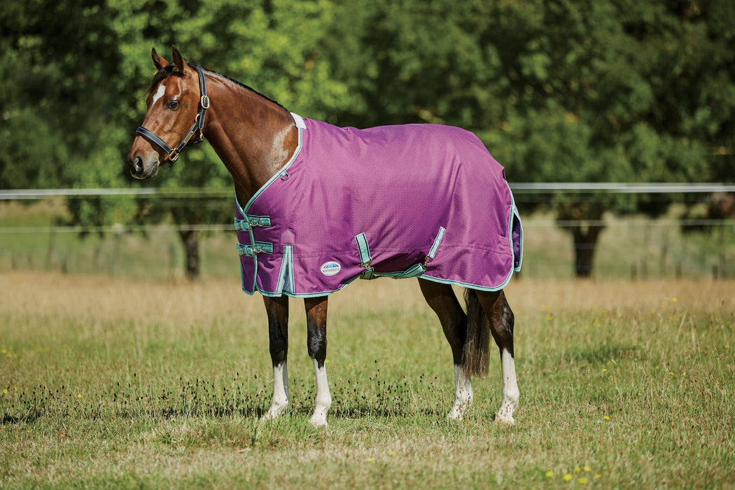 WeatherBeeta ComFiTec Premier Freedom Standard Neck Pony Turnout Blanket (220g Medium)