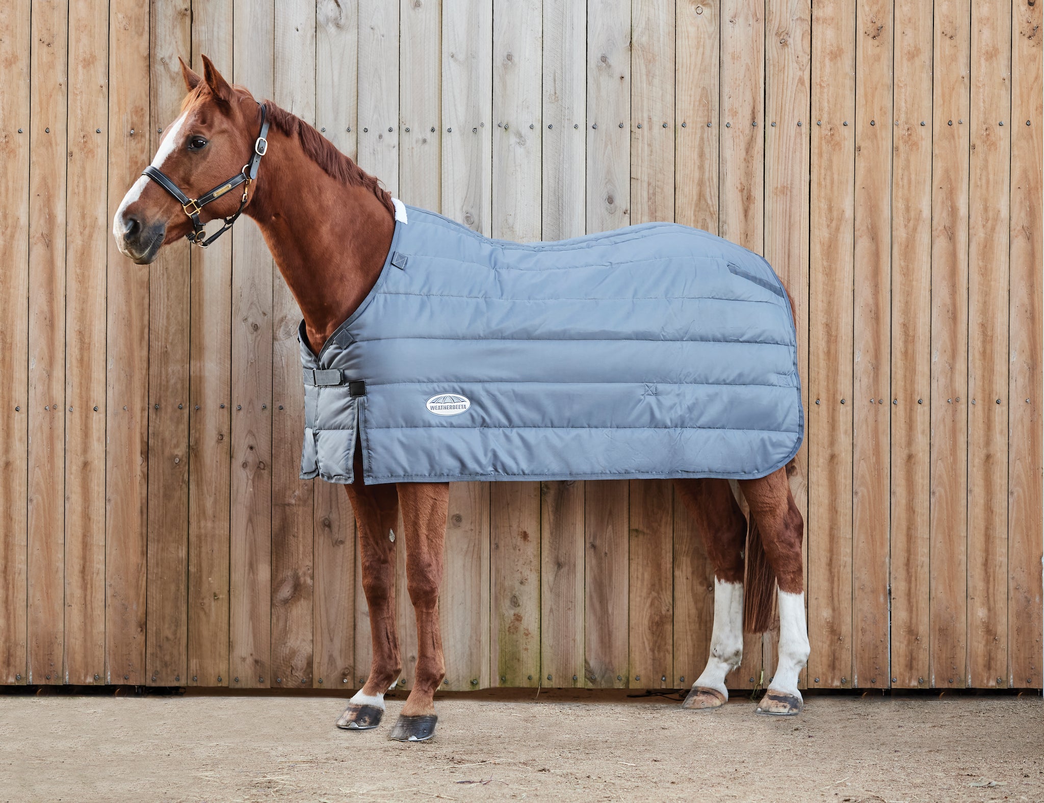 Performance Horse Blankets Shop Horse Blanket, Turnout, Fly Sheet