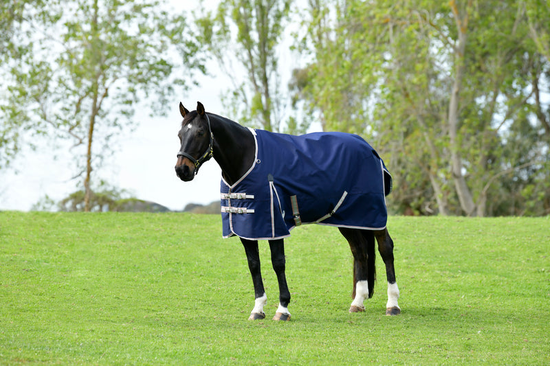 WeatherBeeta ComFiTec Essential Plus Standard Neck Turnout Sheet (0g Lite) in Navy (Silver/Red Trim) - On horse from side
