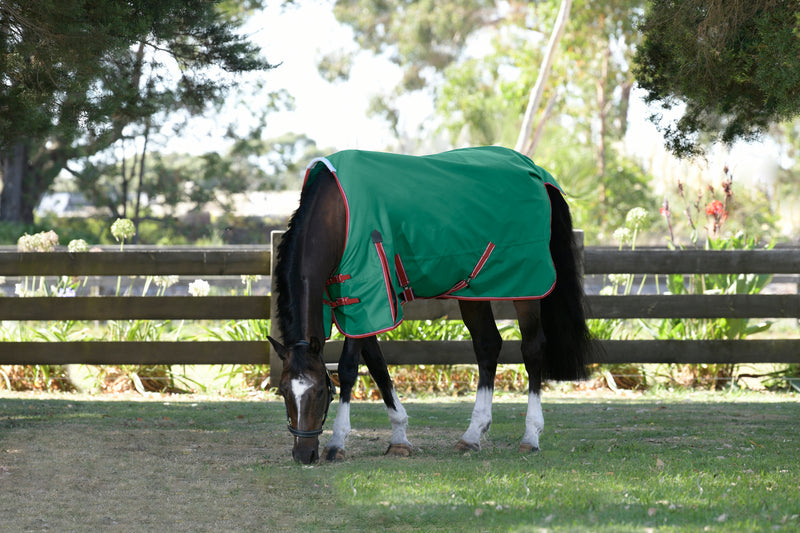 WeatherBeeta ComFiTec Prelim Standard Neck Turnout Sheet (0g Lite) in Dark Green with Red/White Trim