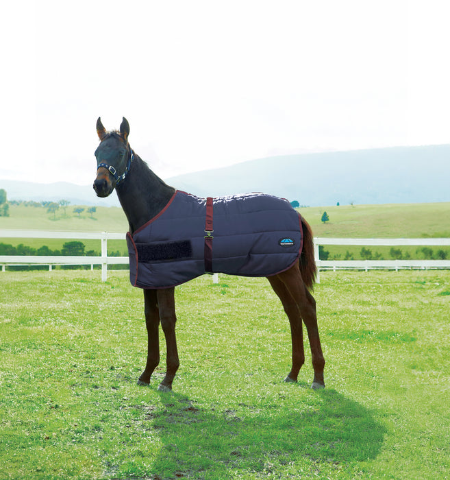 WeatherBeeta 420D Foal Stable Blanket Standard Neck (220g Medium)