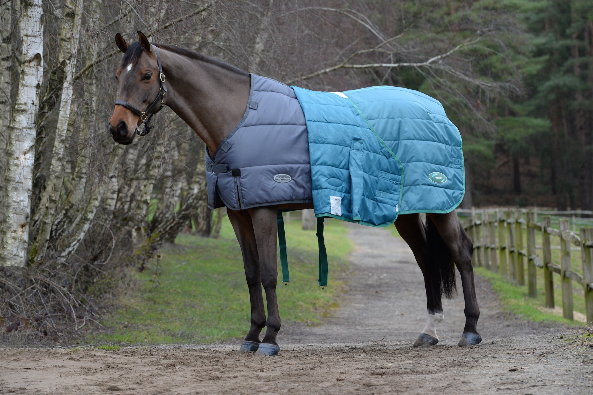 Performance Horse Blankets Shop Horse Blanket, Turnout, Fly Sheet