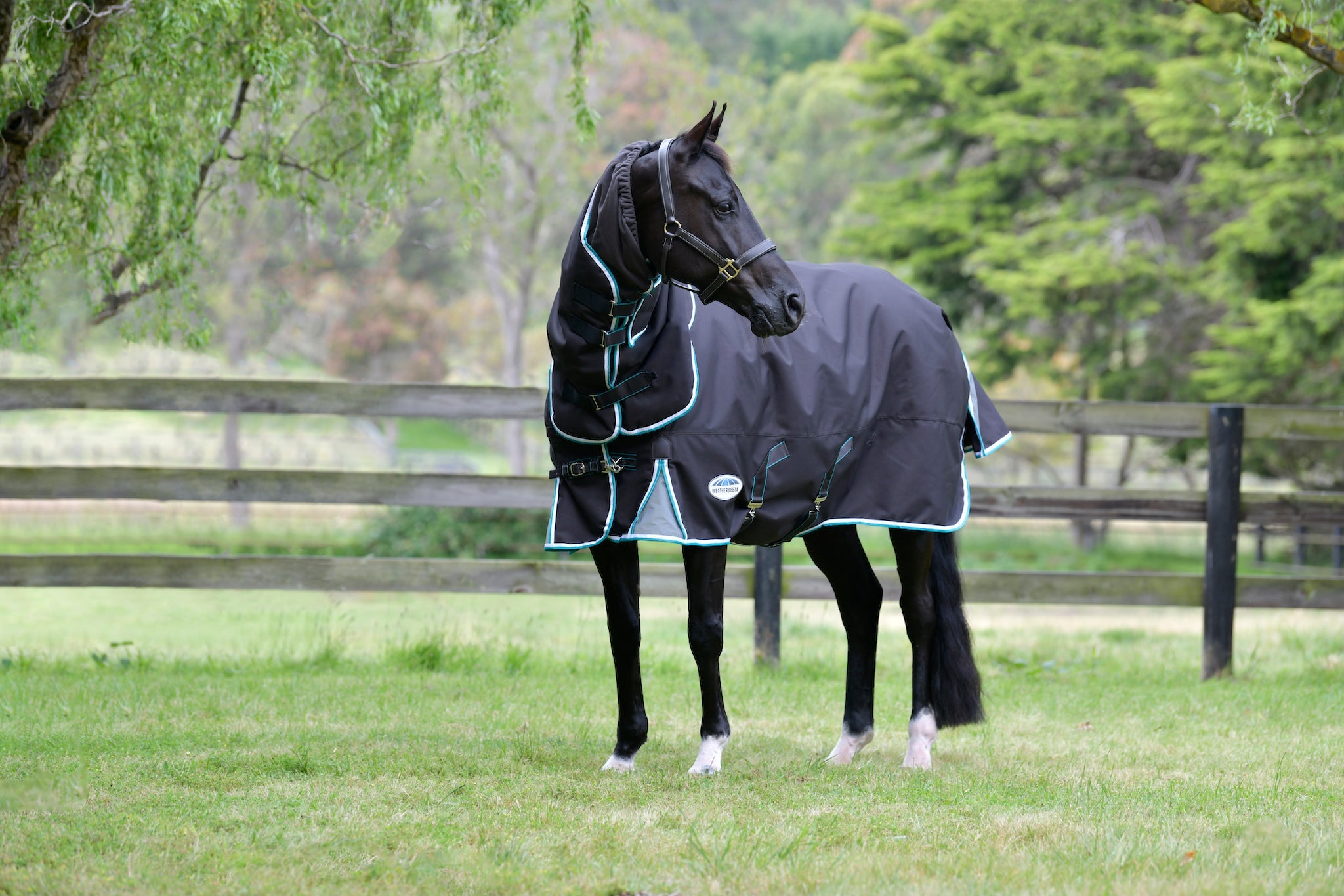 Performance Horse Blankets Shop Horse Blanket, Turnout, Fly Sheet
