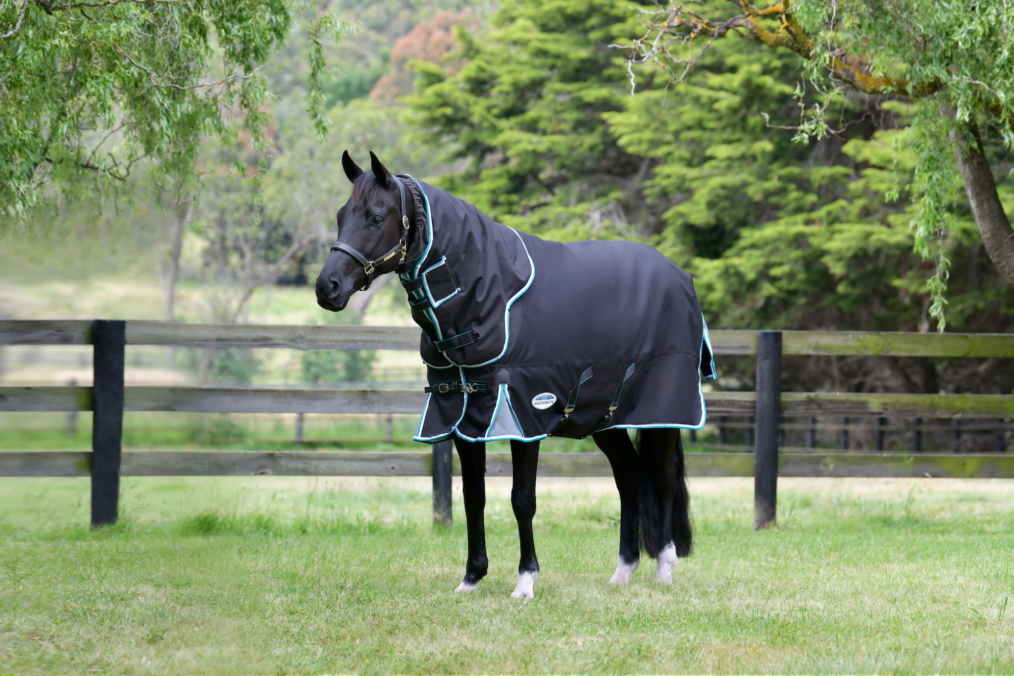Performance Horse Blankets Shop Horse Blanket, Turnout, Fly Sheet