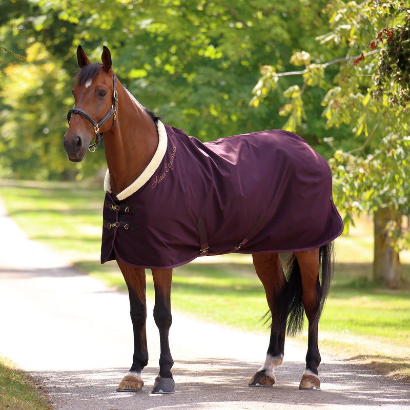 Shires Deluxe Stable Sheet (No Fill)