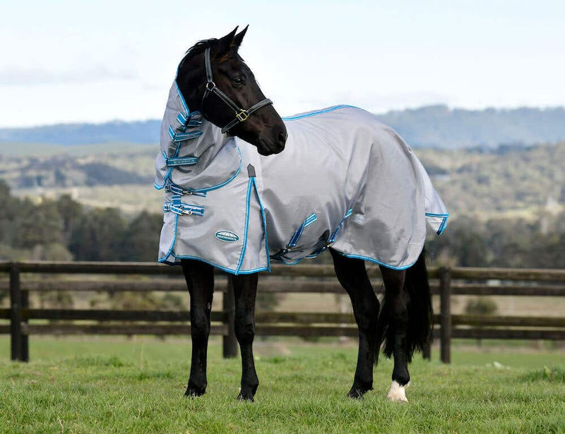WeatherBeeta ComFiTec Hexi Shield Combo Neck Fly Sheet (No Fill + Hood) in Silver (Teal/Blue Trim) - On horse from side looking back