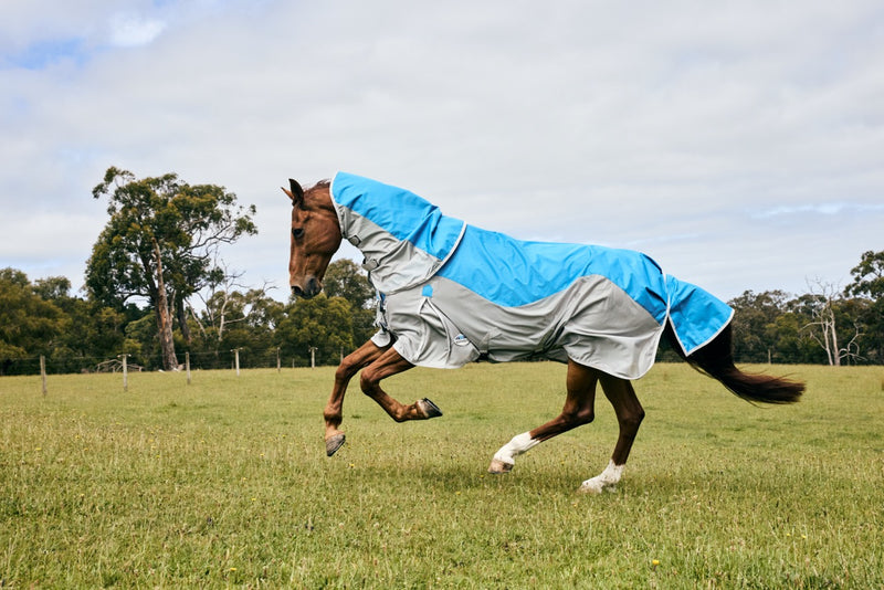 WeatherBeeta ComFiTec Dual Shield Detach-A-Neck Neck Summer Sheet (No Fill + Waterproof) in Blue (Gray Trim) - On horse running from side