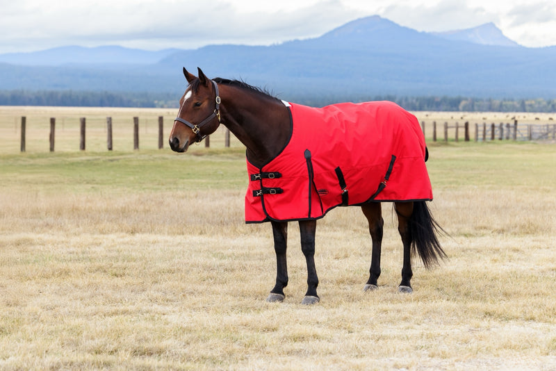 WeatherBeeta ComFiTec Original Turnout Standard Neck (0g Lite)