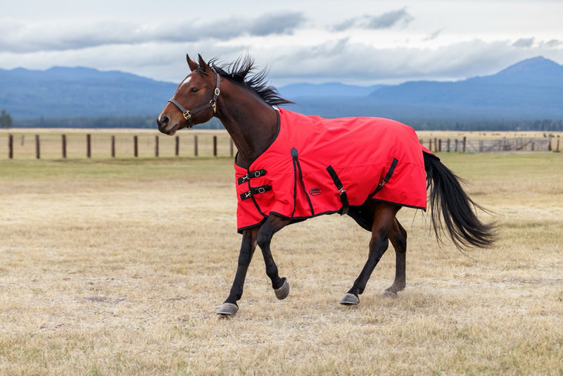 WeatherBeeta ComFiTec Original Turnout Standard Neck (0g Lite)