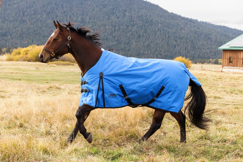 WeatherBeeta ComFiTec Original Turnout Standard Neck (0g Lite)