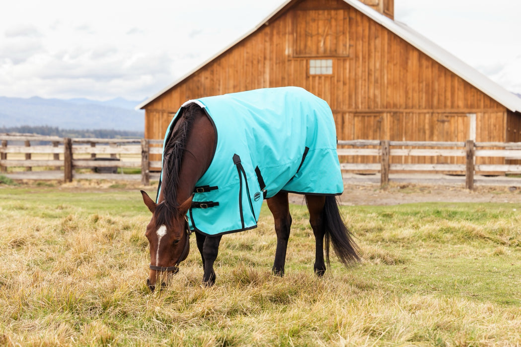 WeatherBeeta ComFiTec Original Turnout Standard Neck (0g Lite)