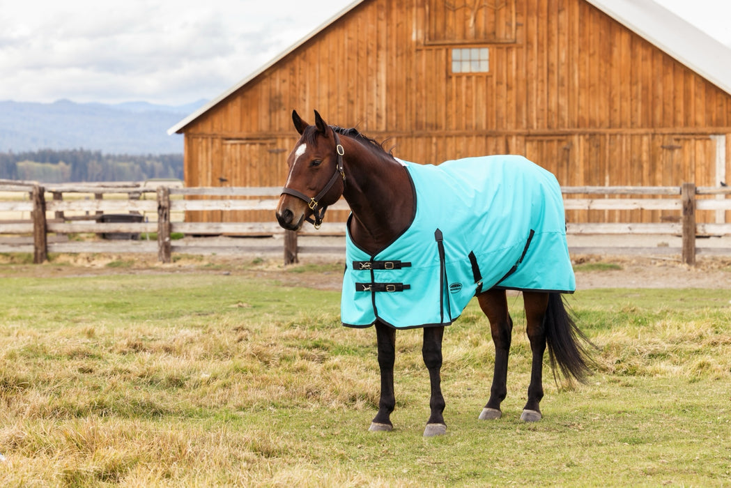 WeatherBeeta ComFiTec Original Turnout Standard Neck (0g Lite)