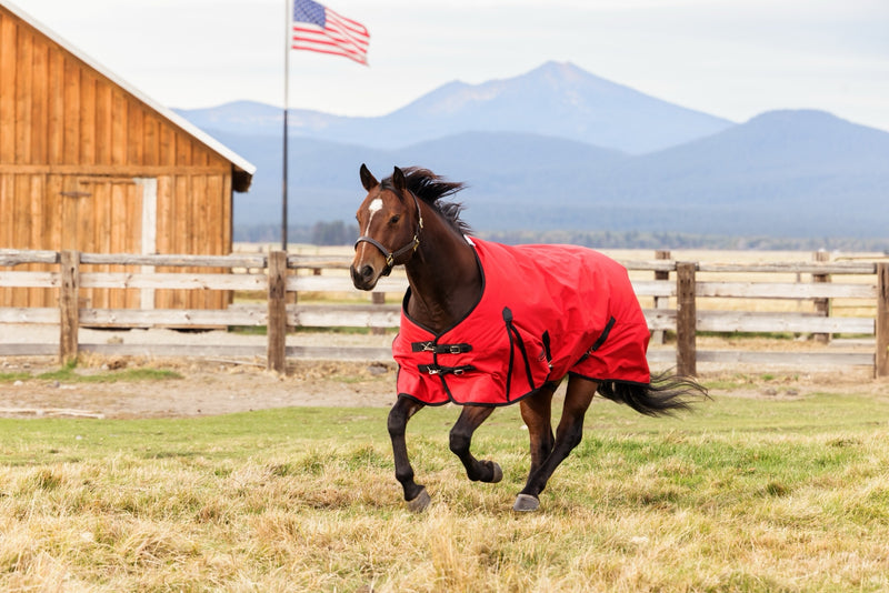 WeatherBeeta ComFiTec Original Turnout Standard Neck (220g Medium)