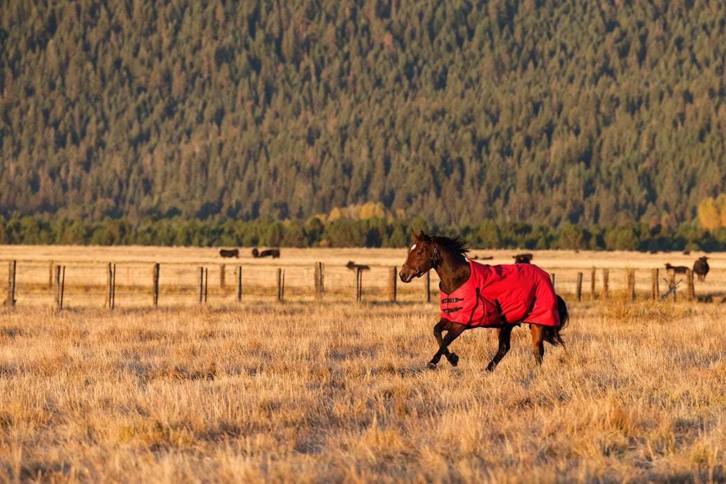 WeatherBeeta ComFiTec Original Turnout Standard Neck (220g Medium)