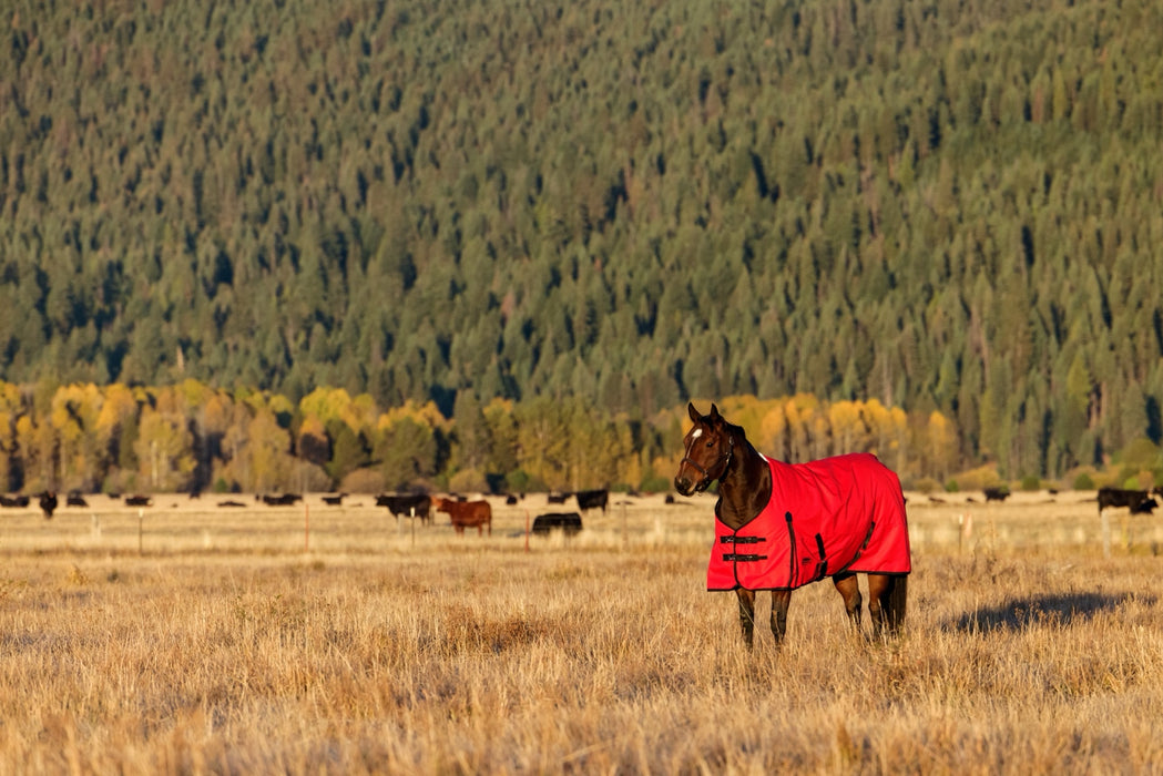 WeatherBeeta ComFiTec Original Turnout Standard Neck (220g Medium)