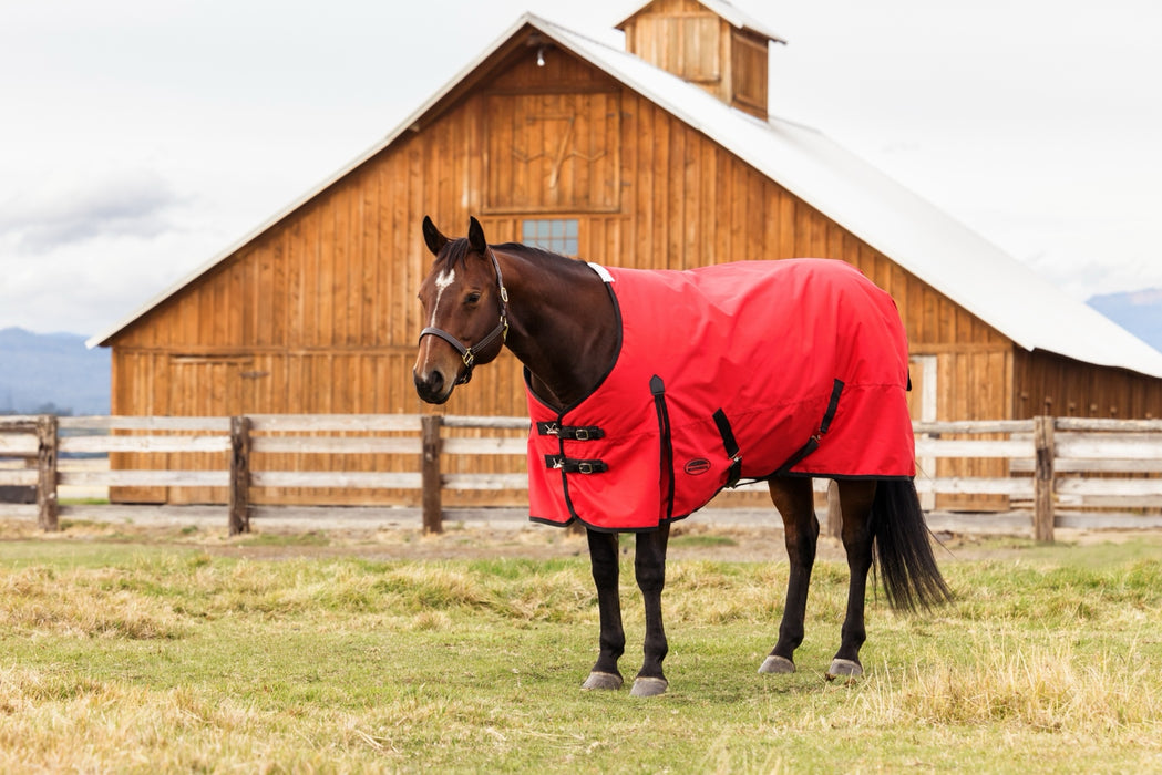 WeatherBeeta ComFiTec Original Turnout Standard Neck (220g Medium)