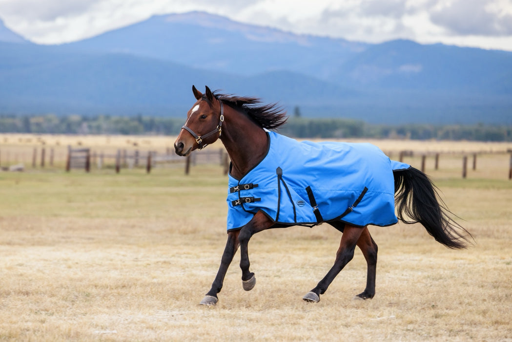 WeatherBeeta ComFiTec Original Turnout Standard Neck (220g Medium)