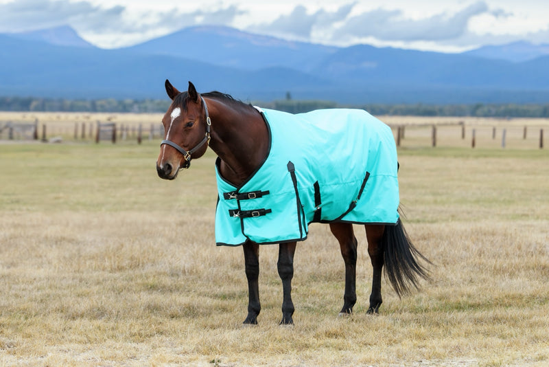 WeatherBeeta ComFiTec Original Turnout Standard Neck (220g Medium)