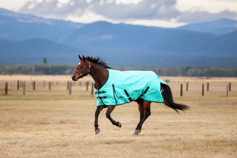 WeatherBeeta ComFiTec Original Turnout Standard Neck (220g Medium)