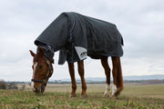 Horse wearing a dark gray rug in an open field on a cloudy day