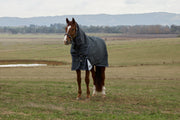 Horse wearing a dark gray rug standing in an open field with mountains in the background