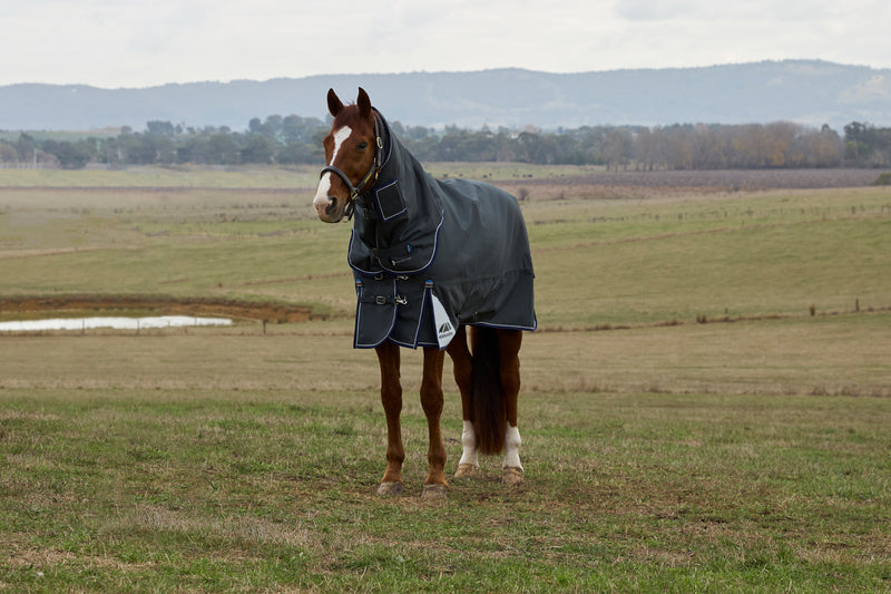 Horse wearing a dark gray rug standing in an open field with mountains in the background