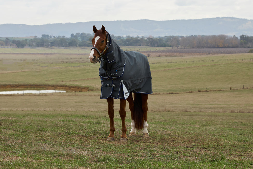 Horse wearing a dark gray rug standing in an open field with mountains in the background