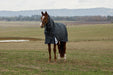Horse wearing a dark gray rug standing in an open field with mountains in the background