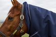 Horse wearing a navy blue rug with a gold bridle against a blurred natural background