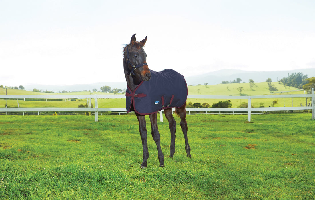 WeatherBeeta 1200D Foal Standard Neck (220g Medium)