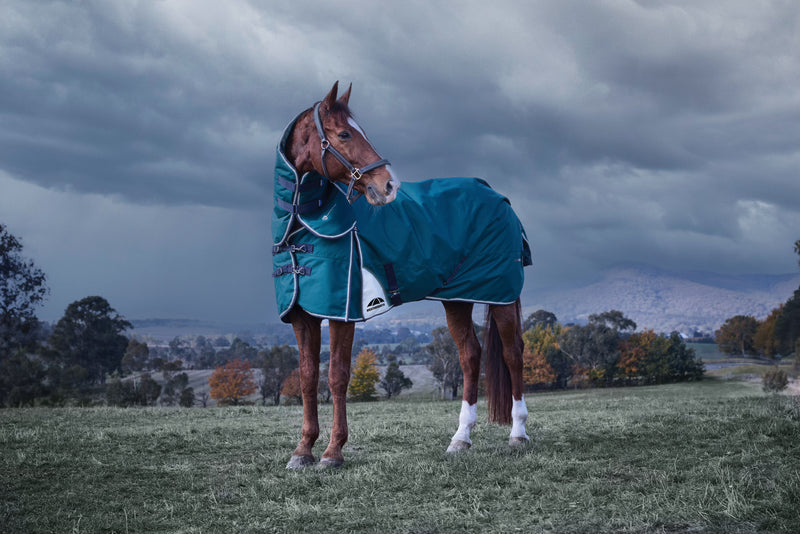 WeatherBeeta ComFiTec Plus Dynamic Turnout Blanket Detach-A-Neck (220g Medium + Neck Cover)