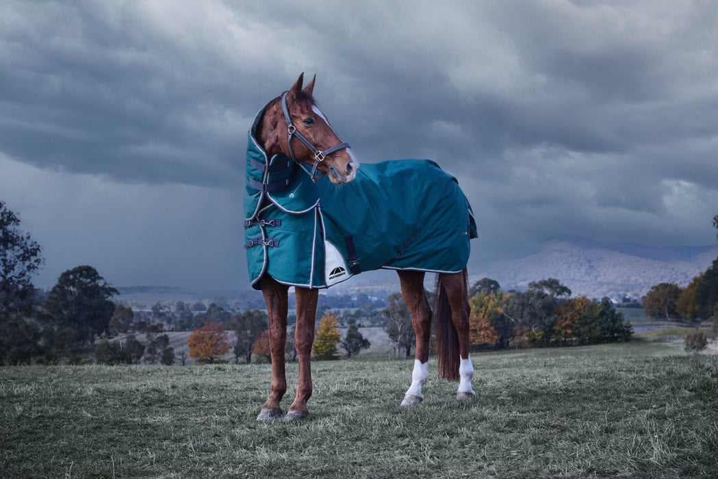 WeatherBeeta ComFiTec Plus Dynamic Turnout Blanket Detach-A-Neck (220g Medium + Neck Cover)