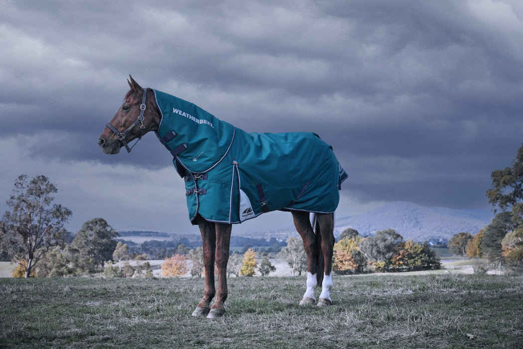 WeatherBeeta ComFiTec Plus Dynamic Turnout Blanket Detach-A-Neck (220g Medium + Neck Cover)