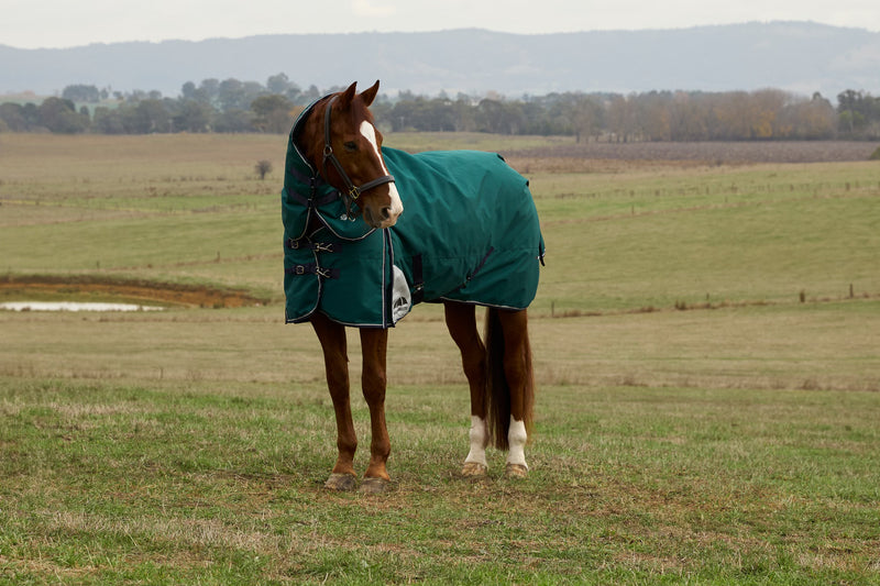 WeatherBeeta ComFiTec Plus Dynamic Turnout Blanket Detach-A-Neck (220g Medium + Neck Cover)