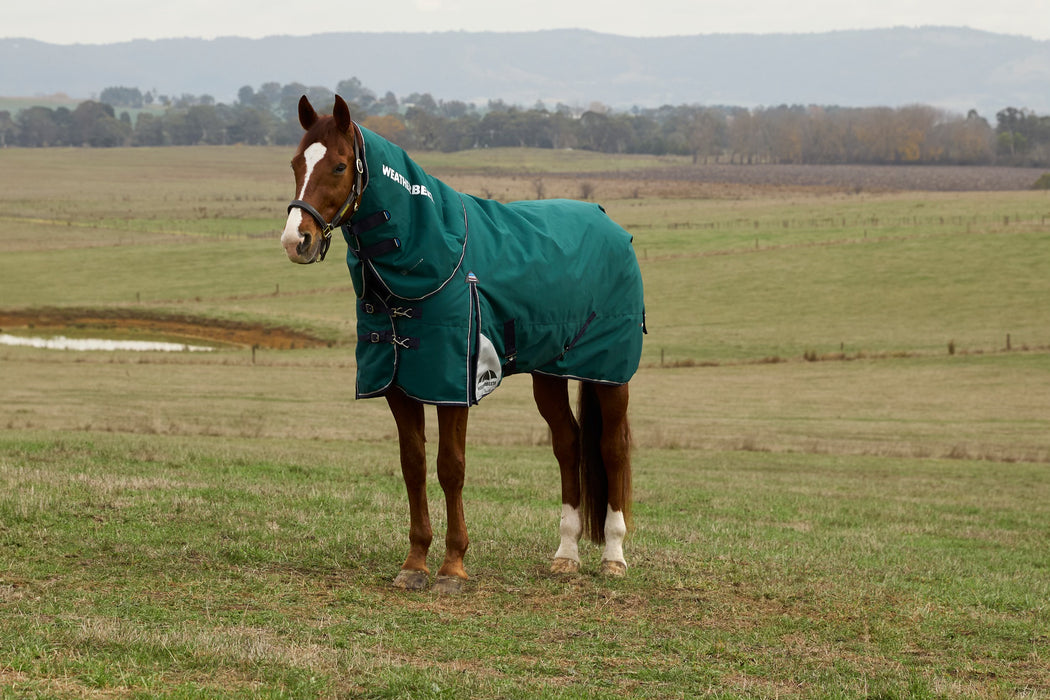 WeatherBeeta ComFiTec Plus Dynamic Turnout Blanket Detach-A-Neck (220g Medium + Neck Cover)