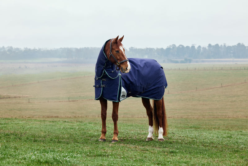 WeatherBeeta ComFiTec Plus Dynamic Turnout Blanket Detach-A-Neck (220g Medium + Neck Cover)