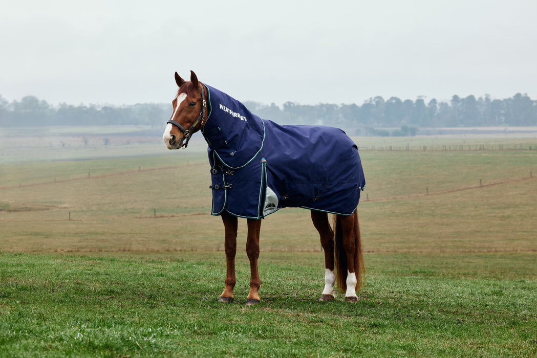 WeatherBeeta ComFiTec Plus Dynamic Turnout Blanket Detach-A-Neck (220g Medium + Neck Cover)