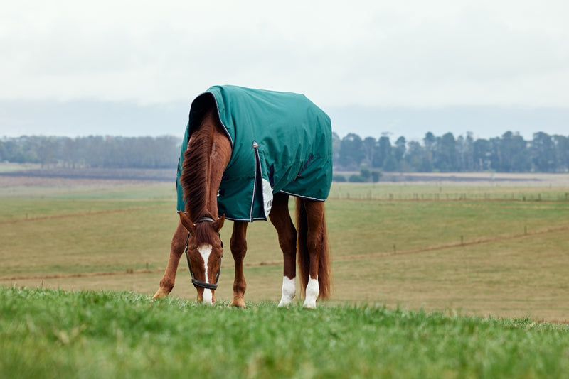 WeatherBeeta ComFiTec Plus Dynamic Turnout High Neck (220g Medium)