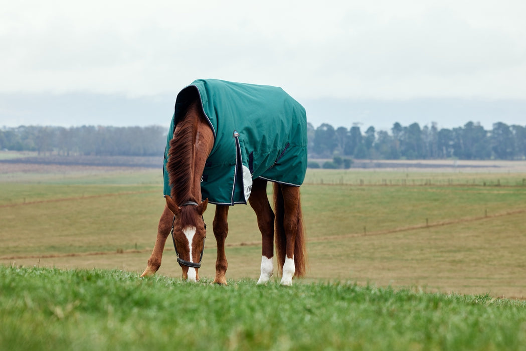 WeatherBeeta ComFiTec Plus Dynamic Turnout High Neck (220g Medium)