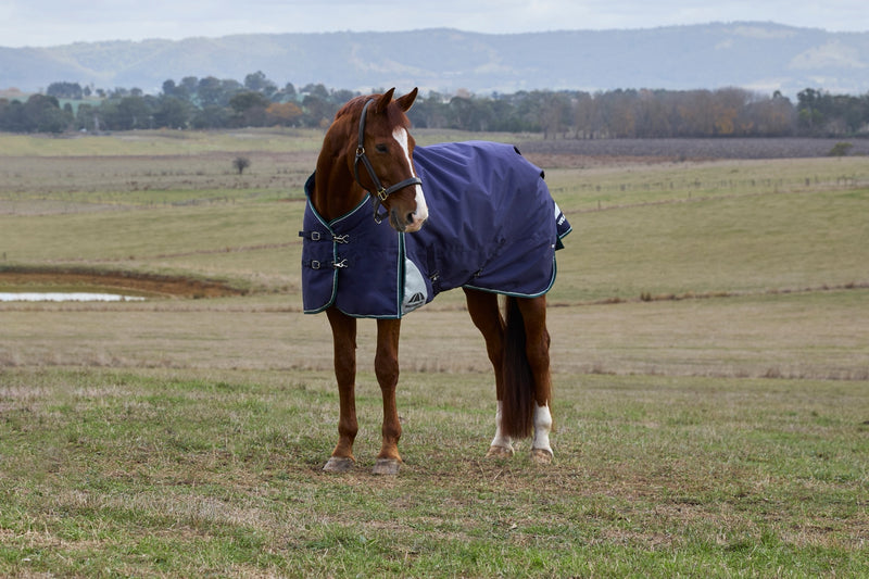 WeatherBeeta ComFiTec Plus Dynamic Turnout (220g Medium)