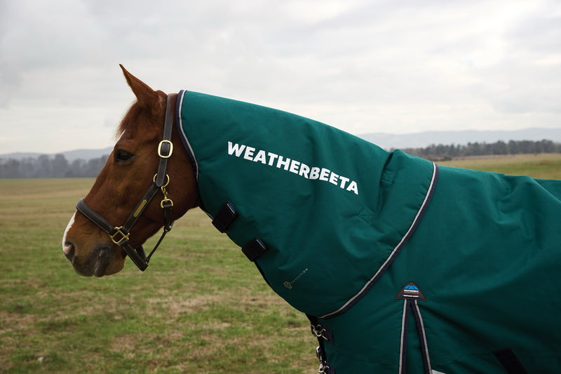 WeatherBeeta ComFiTec Plus Dynamic Turnout Neck Cover (0g Lite)
