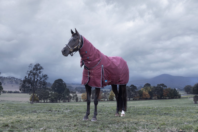 WeatherBeeta ComFiTec Essential Turnout Detach-A-Neck (220g Medium)