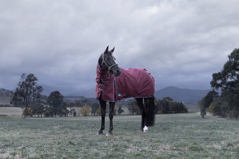 WeatherBeeta ComFiTec Essential Turnout Detach-A-Neck (220g Medium)