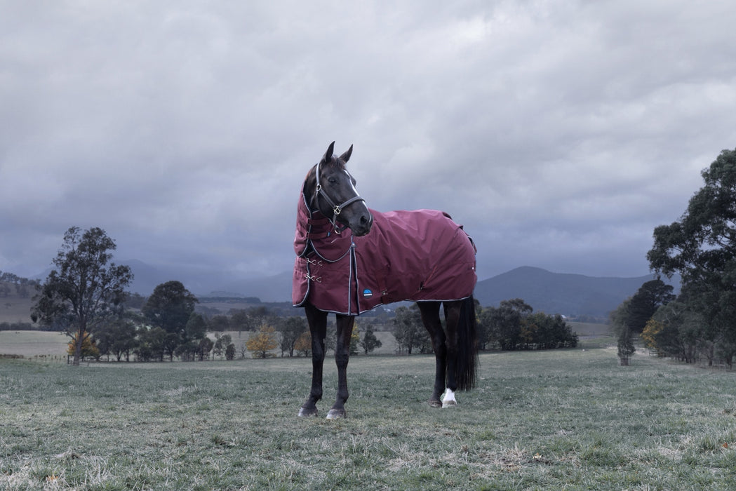 WeatherBeeta ComFiTec Essential Turnout Detach-A-Neck (220g Medium)