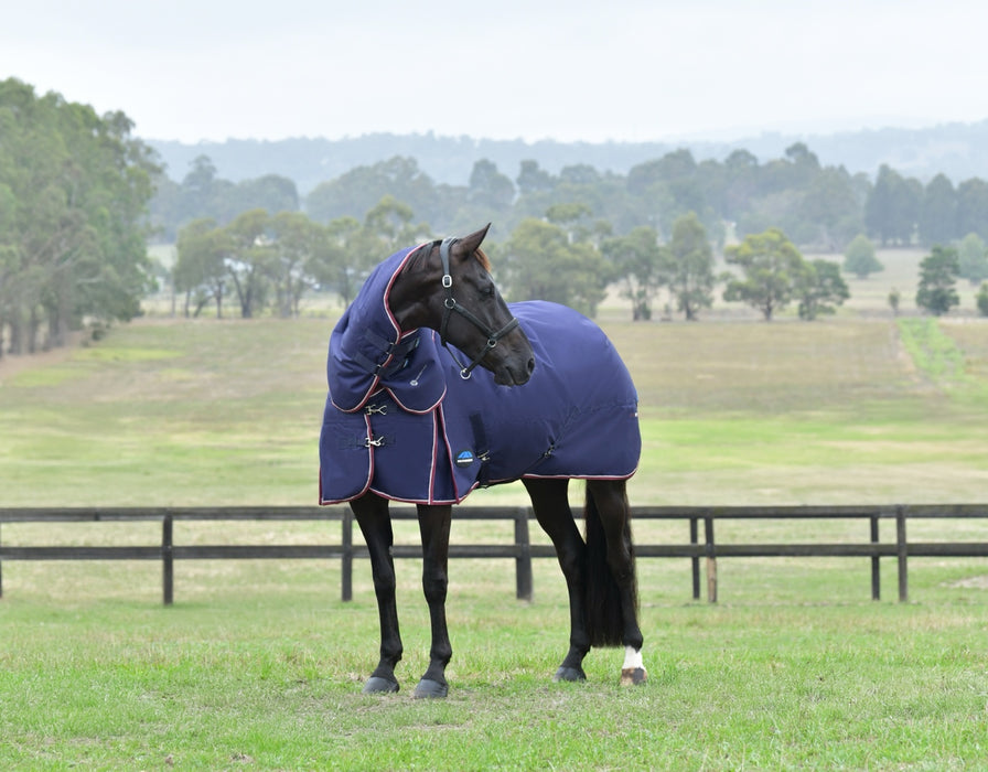 WeatherBeeta ComFiTec Essential Turnout Detach-A-Neck (220g Medium)