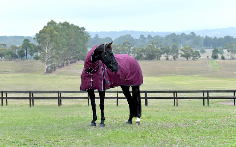 WeatherBeeta ComFiTec Essential Turnout Combo (220g Medium)