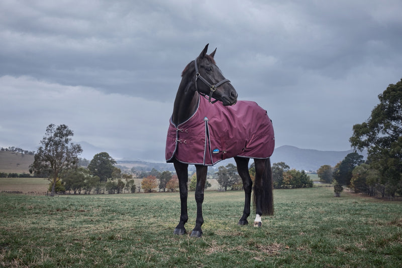 WeatherBeeta ComFiTec Essential Turnout (220g Medium)