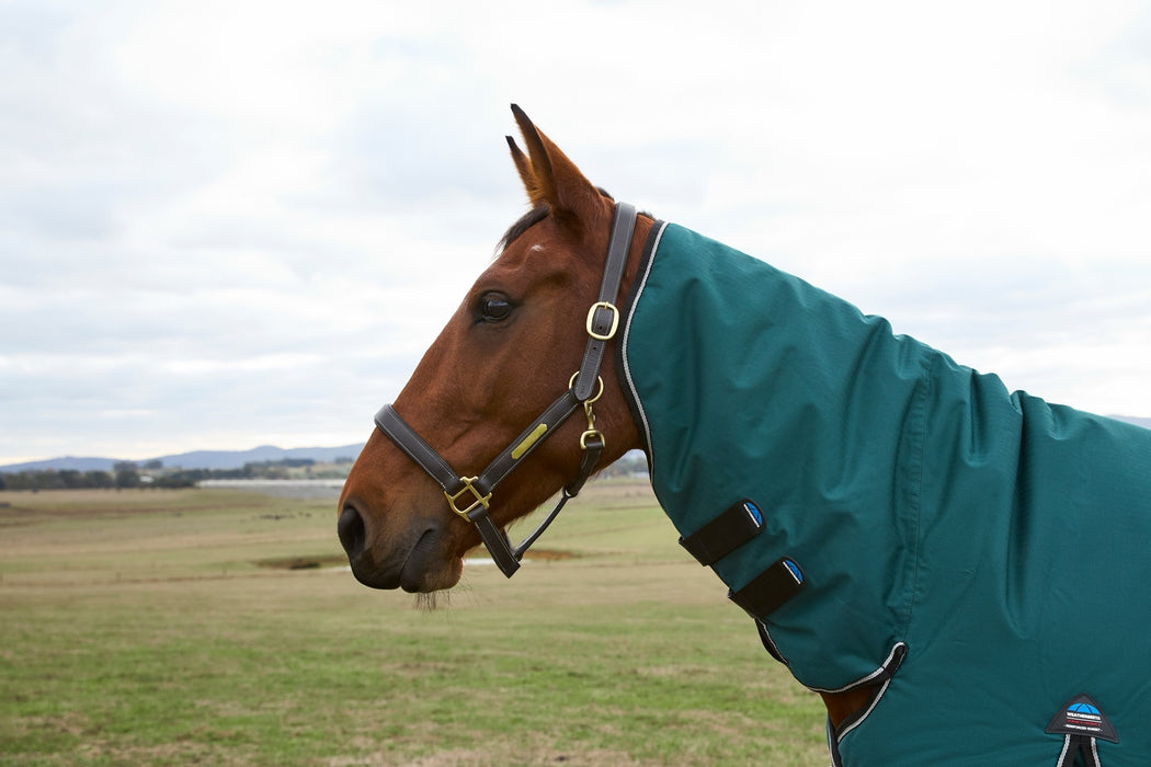 WeatherBeeta ComFiTec Classic Turnout Combo (220g Medium)