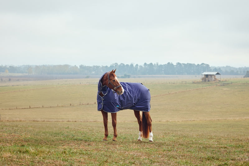 WeatherBeeta ComFiTec Tyro Turnout Combo Neck (50g Medium-Lite)