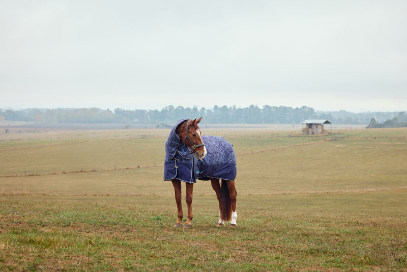 WeatherBeeta ComFiTec Limited Edition Turnout Detach-A-Neck (220g Medium)